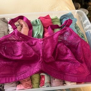 New size 48F Elila Bra.